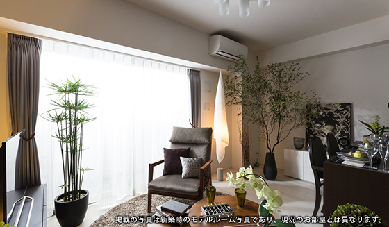 otsuka-205-room